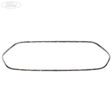 Griglia originale Ford Transit Connect Mk2 cromata 13- 1897687