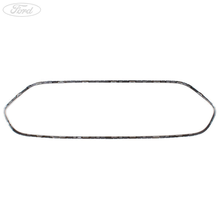 Griglia originale Ford Transit Connect Mk2 cromata 13- 1897687