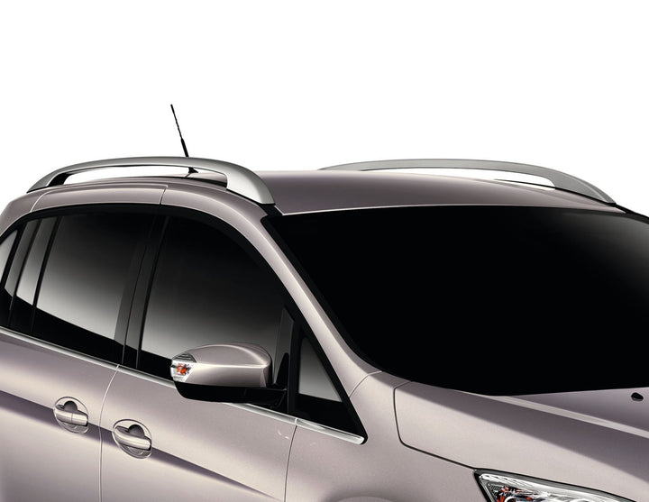 Originale Ford C-MAX dal 11/2010 Corrimano da tetto argento