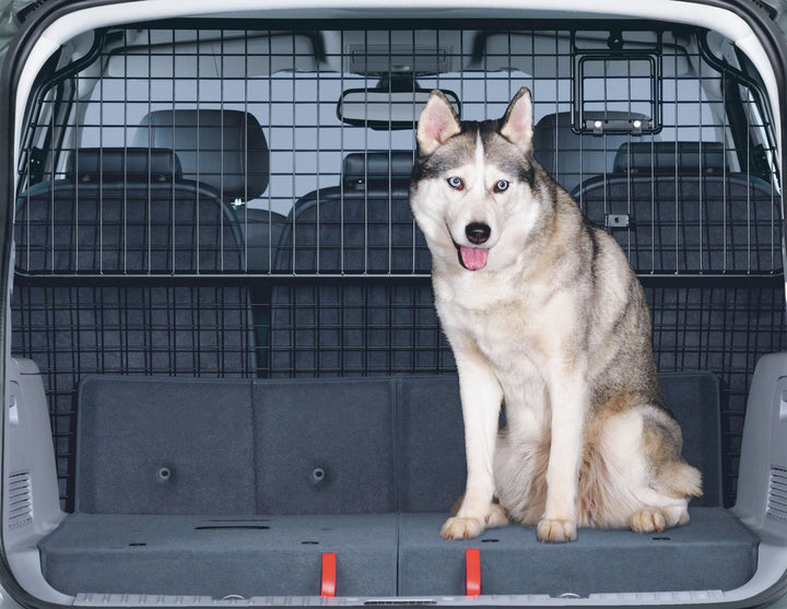 Originale Ford S-MAX Griglia divisoria per trasporto animali altezza piena